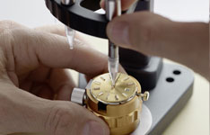 劳力士代购的国内保修吗?